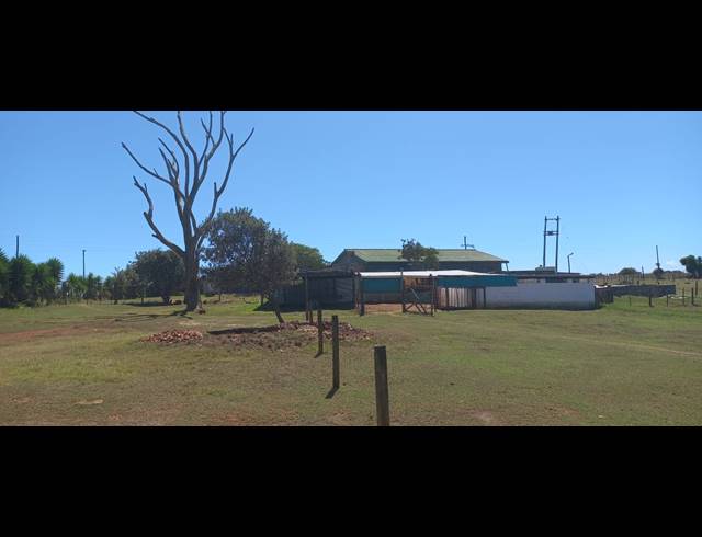 9HA FARM FOR SALE IN UITENHAGE CENTRAL